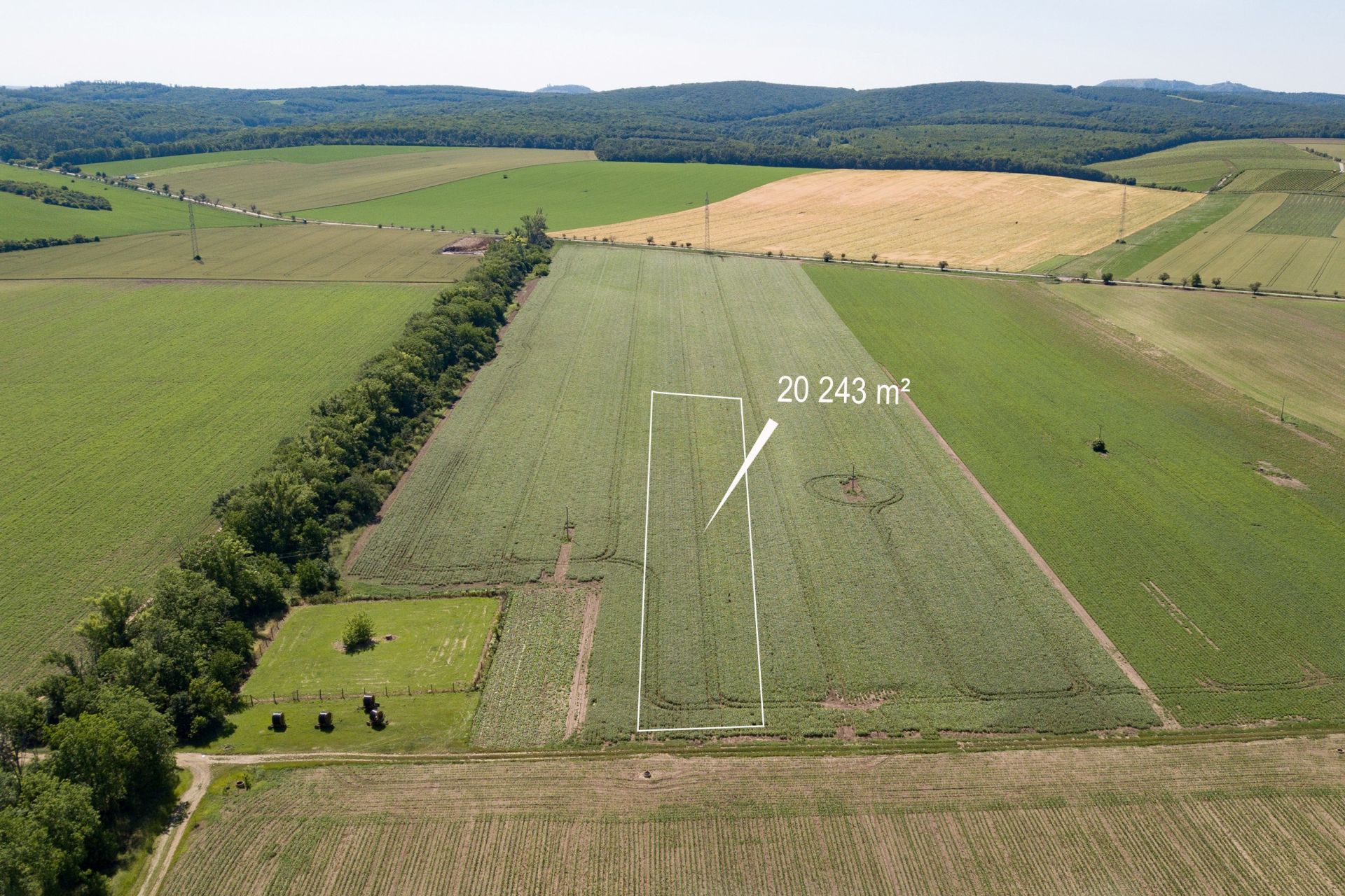 Prodej pole - orná půda Bulhary